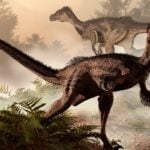How Big Are Velociraptors?