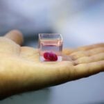 Image: A transparent cup containing what Israeli scientists from Tel Aviv University say is the world’s first 3D-printed, vascularised engineered heart, is seen during a demonstration at a laboratory in the university, Tel Aviv