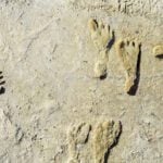 North America Oldest Fossil Footprints