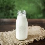 What Made the Milk Poisonous in the 1800s?