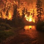 Where Did the Deadliest Wildfire Occur?