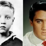 Elvis hair