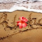 What is the Aloha Spirit Law?