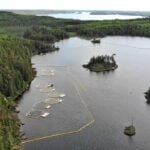 Lakes in Canada Were Polluted on Purpose in Order to Study the Effects on Aquatic Life