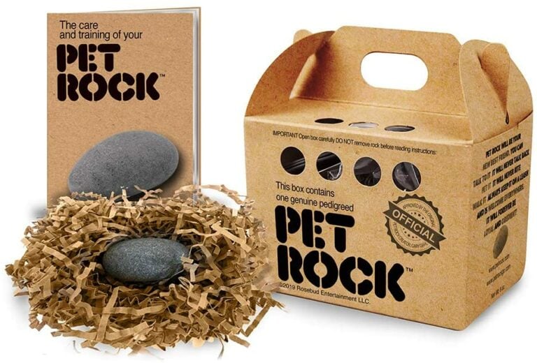 how-much-did-pet-rocks-cost