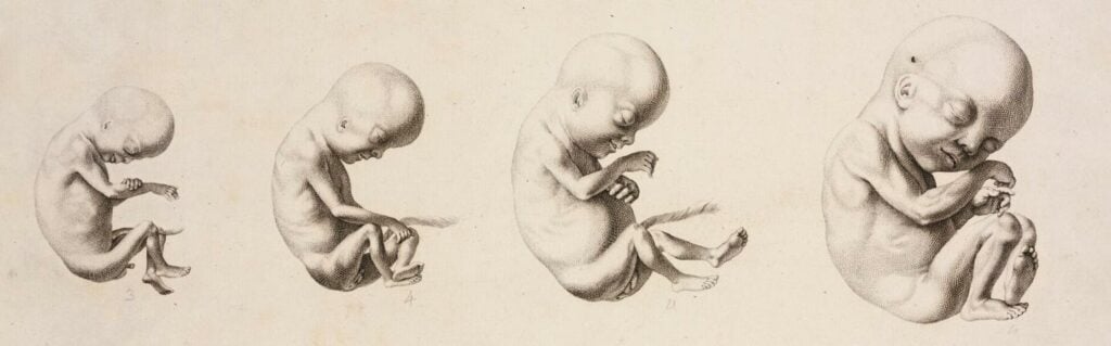 1875 babies