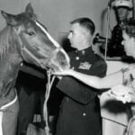Who is Sergeant Reckless?