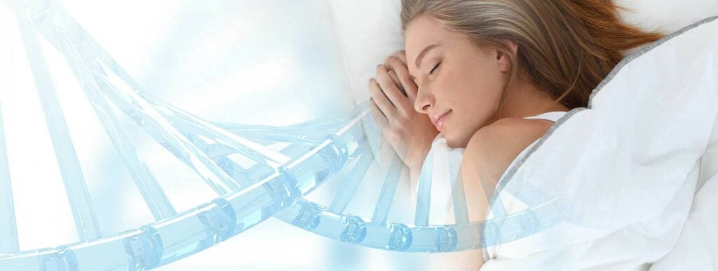 睡眠遺伝子