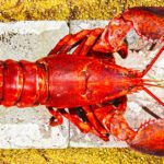 Lobster Used to be Considered the Poor Man’s Protein Until the 1880s. Prisoners Would Start Complaining When They were Given Lobsters More Than Three Times a Week.