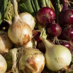 Onions Naturally Have Sucrose in Their Cells. The Longer You Cook an Onion, the More Sucrose is Released, and the Heat Turns Sucrose into Sweeter Sugars Like Glucose and Fructose.