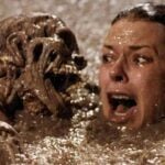 The Skeletons Used in the Pool Scene in the Poltergeist Film were Real Human Skeletons.