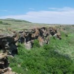 There is a UNESCO World Heritage Site in Alberta, Canada, called "Head-Smashed-In Buffalo Jump." It is Where the Aboriginal People Used to Chase Buffalos Off a Cliff.
