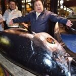 A Single 612-Pound Bluefin Tuna Sold for $3.1 Million at a 2019 Auction in Japan