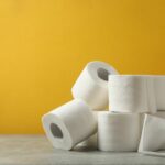 Before the Toilet Paper Was Invented, People Used Corn Husks, Sea Sponges, and Even Seashells After Using the Toilet.
